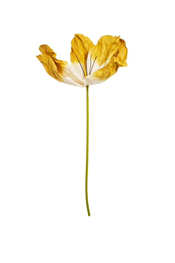 Artificial flower 32x32x120 cm LOEK paper green+yellow