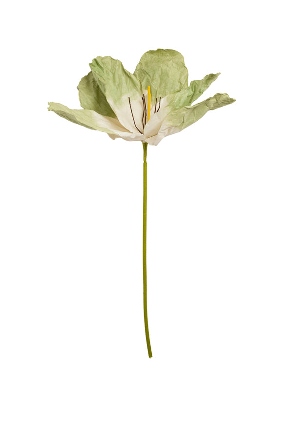 Artificial flower 32x32x120 cm LOEK paper green+light green