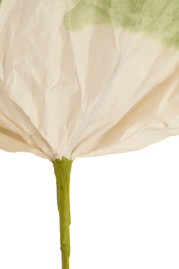 Artificial flower 32x32x120 cm LOEK paper green+light green
