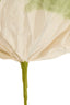 Artificial flower 32x32x120 cm LOEK paper green+light green