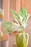 Artificial flower 32x32x120 cm LOEK paper green+light green