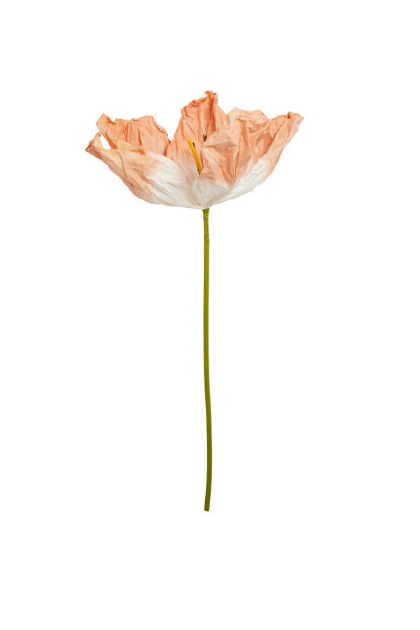 Artificial flower 32x32x120 cm LOEK paper green+peach