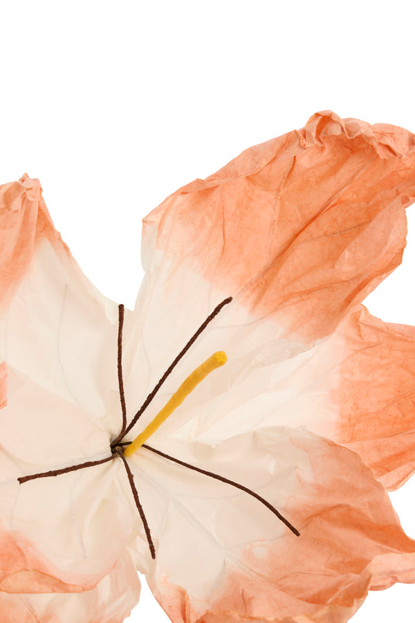 Artificial flower 32x32x120 cm LOEK paper green+peach