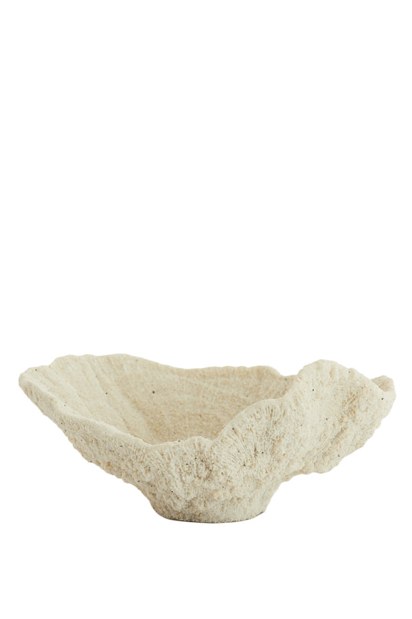 Ornament 25x23x11 cm CORAL cream