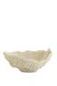 Ornament 25x23x11 cm CORAL cream