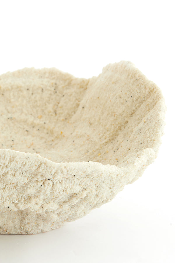 Ornament 25x23x11 cm CORAL cream
