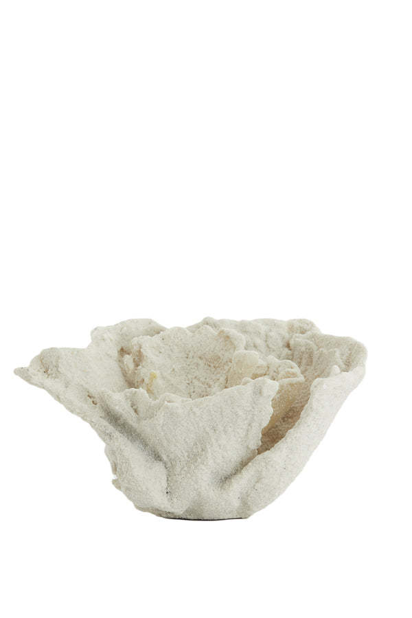 Ornament 23x16x13 cm CORAL cream