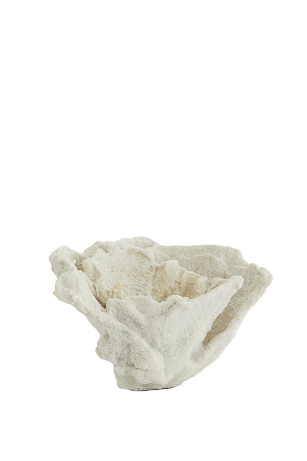 Ornament 23x16x13 cm CORAL cream