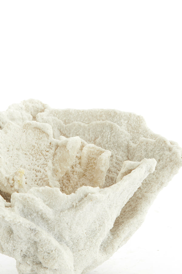 Ornament 23x16x13 cm CORAL cream