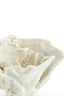 Ornament 23x16x13 cm CORAL cream