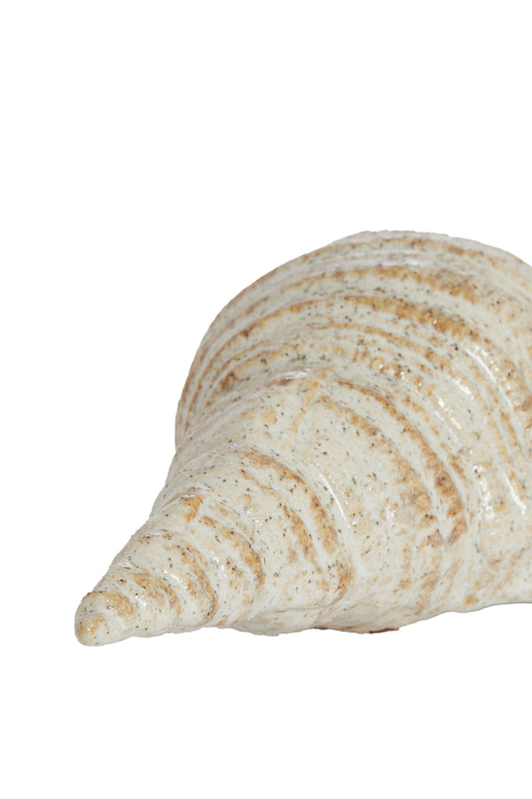 Ornament 23x9,5x7,5 cm SHELL ceramics cream-sand