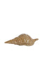 Ornament 23x9,5x7,5 cm SHELL ceramics brown
