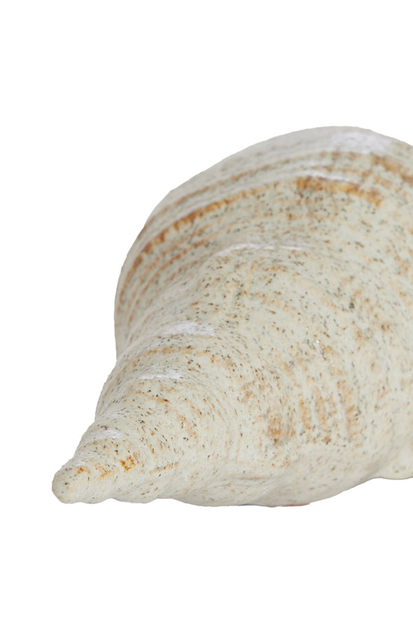 Ornament 27,5x12,5x9 cm SHELL ceramics cream-sand