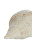 Ornament 27,5x12,5x9 cm SHELL ceramics cream-sand