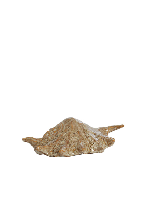 Ornament 21,5x11,5x6 cm SHELL ceramics brown