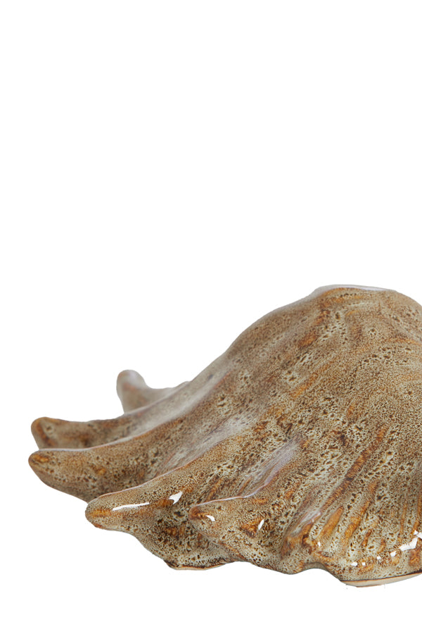 Ornament 21,5x11,5x6 cm SHELL ceramics brown
