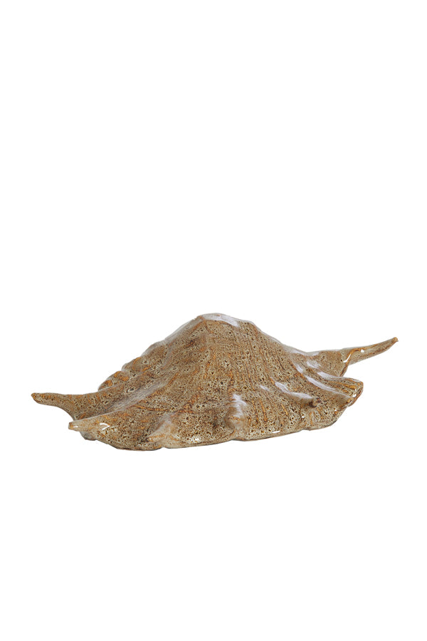 Ornament 26,5x16x7,5 cm SHELL ceramics brown