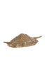 Ornament 26,5x16x7,5 cm SHELL ceramics brown