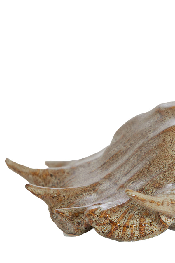 Ornament 26,5x16x7,5 cm SHELL ceramics brown