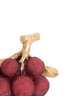 Ornament 16,5x11x11,5 cm JAGODY burgundy+antique bronze