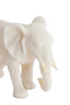 Ornament 26x11x18 cm GAJAH beige