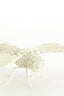 Ornament 29x26,5x6 cm CICADA cream