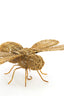 Ornament 29x26,5x6 cm CICADA gold