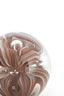 Ornament 8x8 cm BREON glass brown+cream