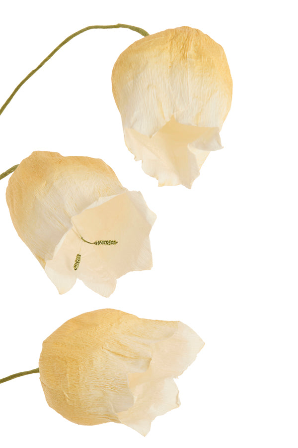Artificial flower 15x15x70 cm CAIN paper green+ocher yellow