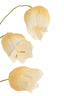 Artificial flower 15x15x70 cm CAIN paper green+ocher yellow