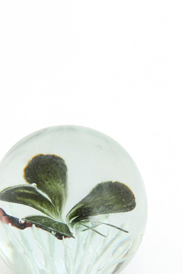 Ornament 8x8 cm BUTTERFLY glass black