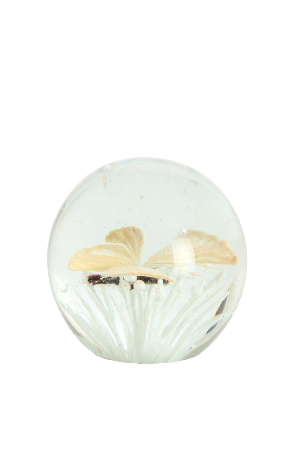 Ornament 8x8 cm BUTTERFLY glass cream