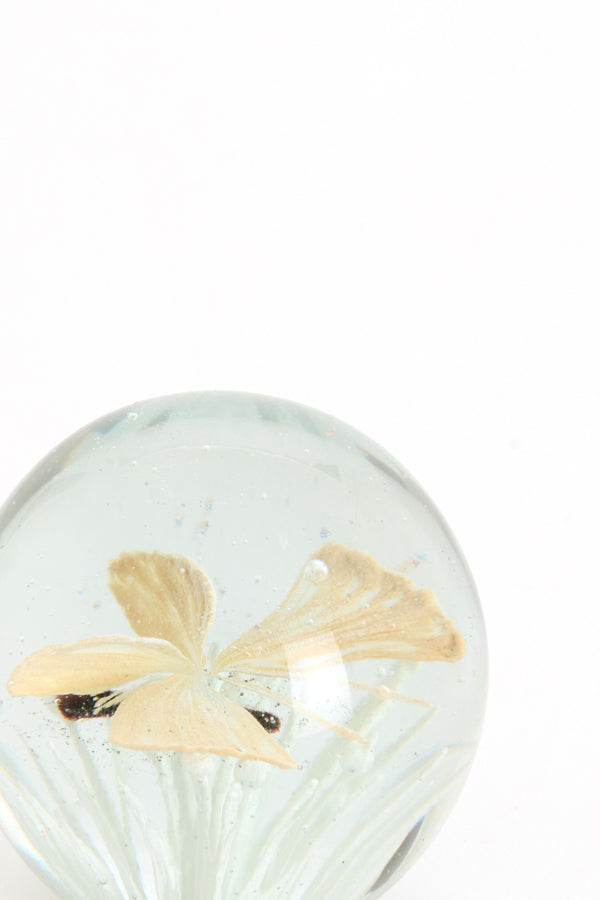 Ornament 8x8 cm BUTTERFLY glass cream