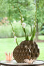 Hurricane 18x19 cm RELIEN glass light peach