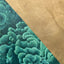 Emerald Coral Framed Canvas