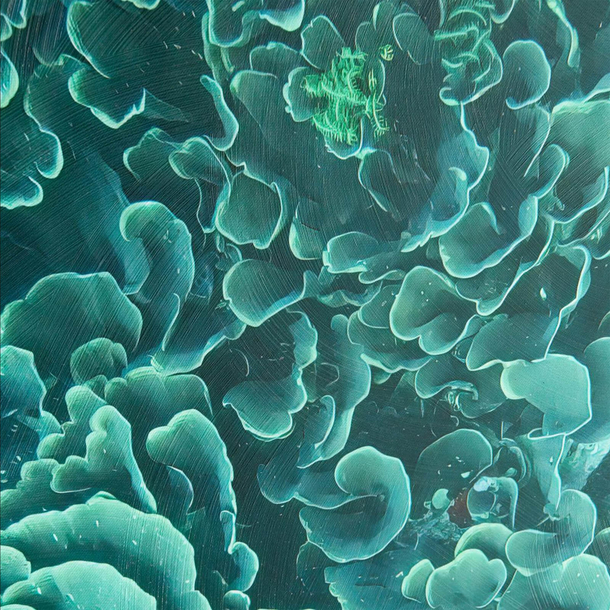 Emerald Coral Framed Canvas