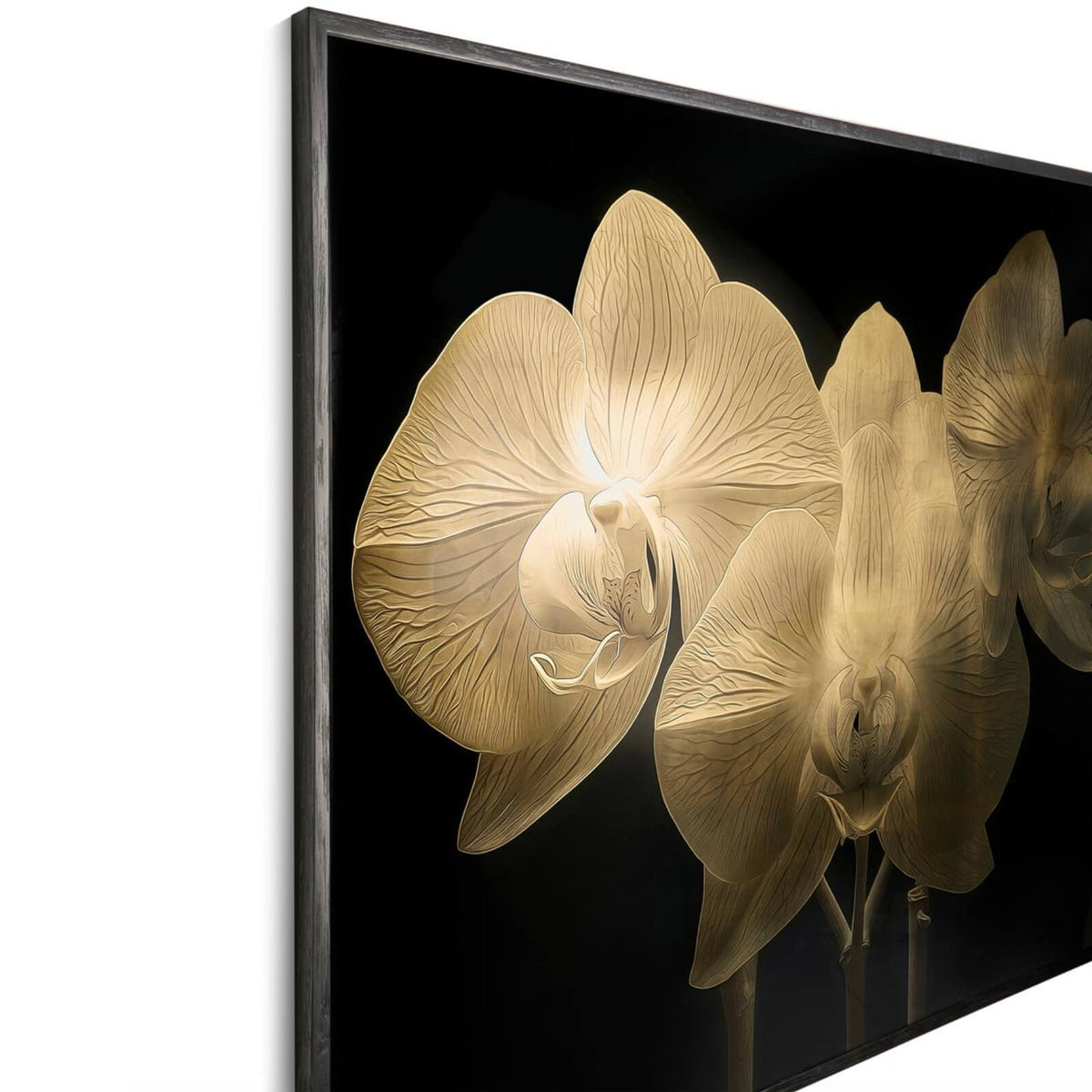 Gold Orchid Photography Print
