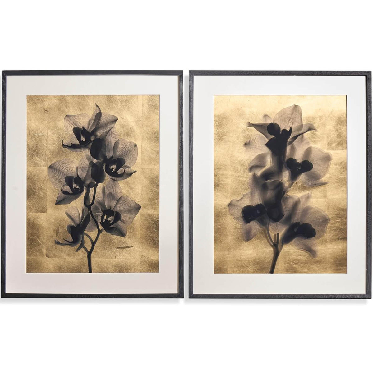 Black Orchids Photography Prints - Set of 2