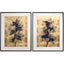 Black Orchids Photography Prints - Set of 2