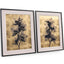 Black Orchids Photography Prints - Set of 2