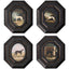 Noble Companions No. 1 Framed Art - Set of 4
