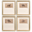 Equestrian Lines in Motion Framed Prints - Set of 4