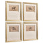 Equestrian Lines in Motion Framed Prints - Set of 4