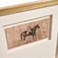 Equestrian Lines in Motion Framed Prints - Set of 4
