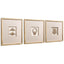 Ornaments of Legacy Shadow Boxes - Set of 3
