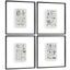 Botanica: The Art of Knowledge Framed Prints - Set of 4