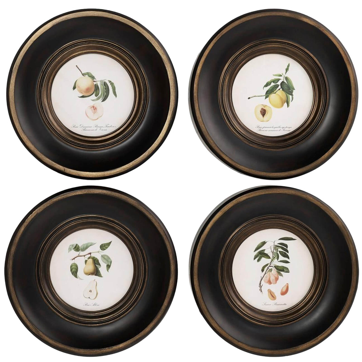 Vintage Fruit No. 1 Framed Art - Set of 4