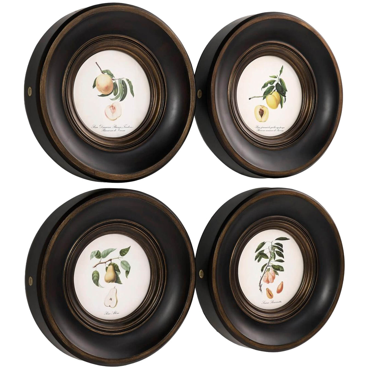 Vintage Fruit No. 1 Framed Art - Set of 4