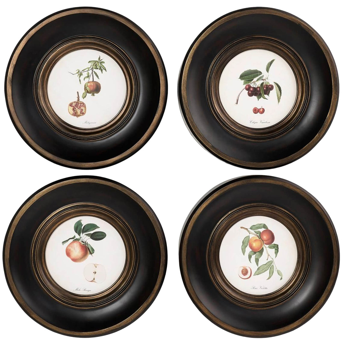 Vintage Fruit No. 2 Framed Art - Set of 4