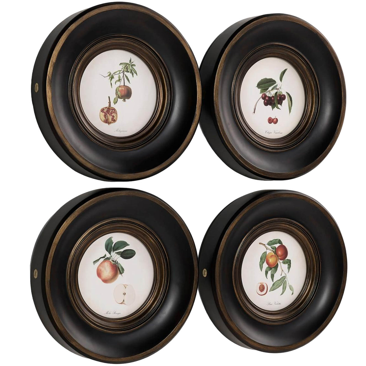 Vintage Fruit No. 2 Framed Art - Set of 4